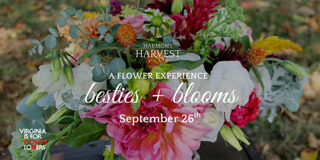 Event 53051 harmony harvest farm besties bloom a flower experience-visit-staunton-va