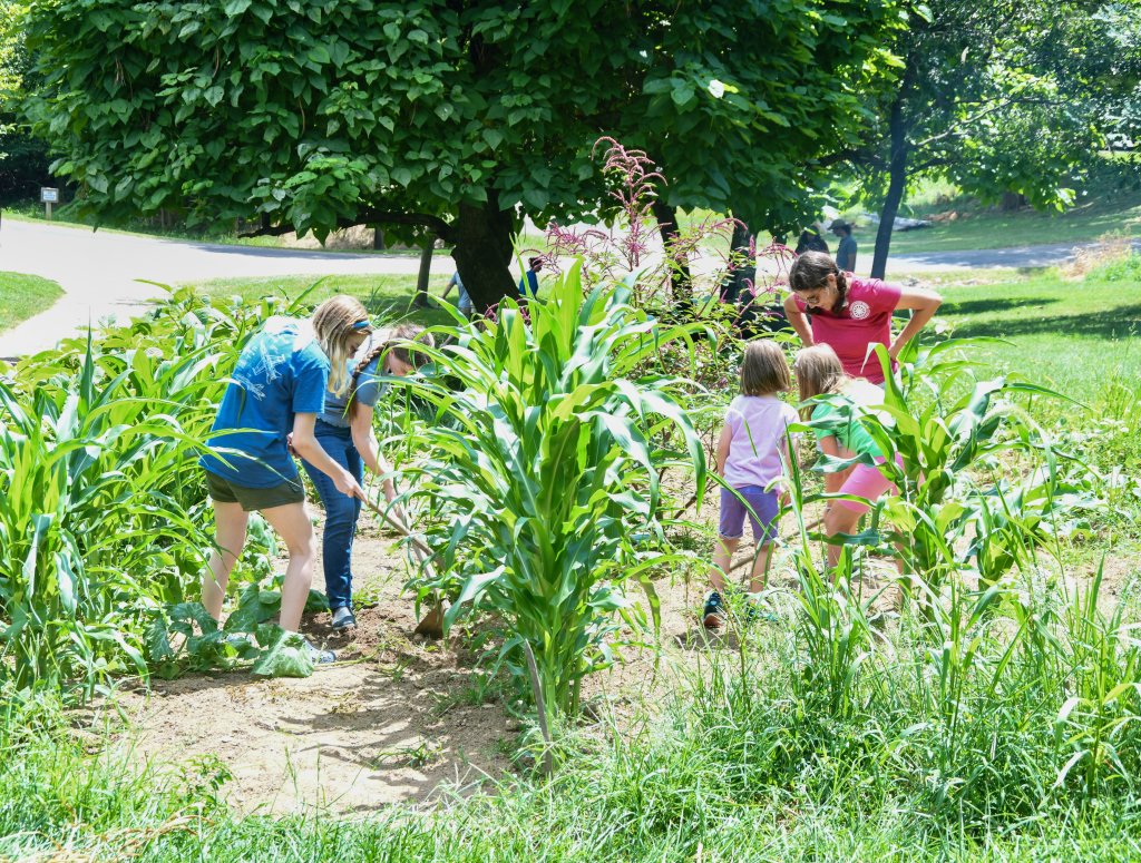 Event 53067 garden day-visit-staunton-va