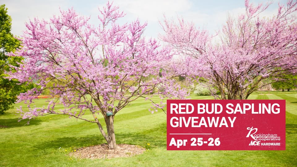 Event 53854 red bud sapling giveaway arbor day weekend-visit-staunton-va