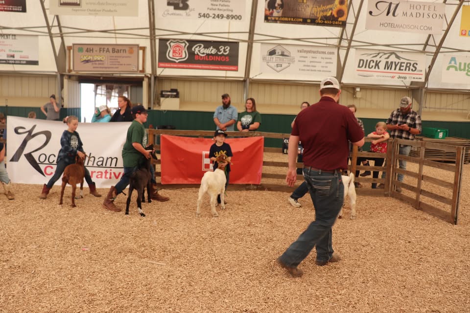 Event 53856 market animal college 2026-visit-staunton-va