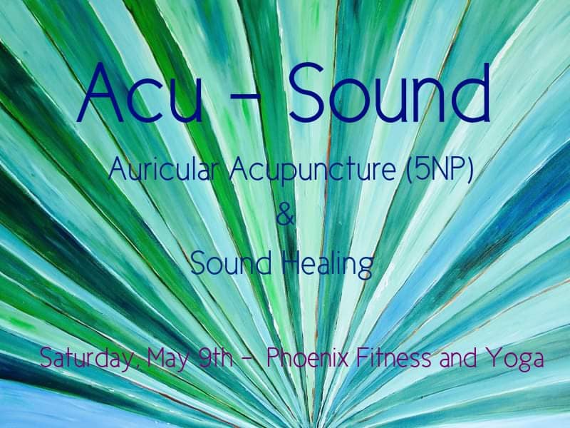 Event 54529 acu sound at-visit-staunton-va