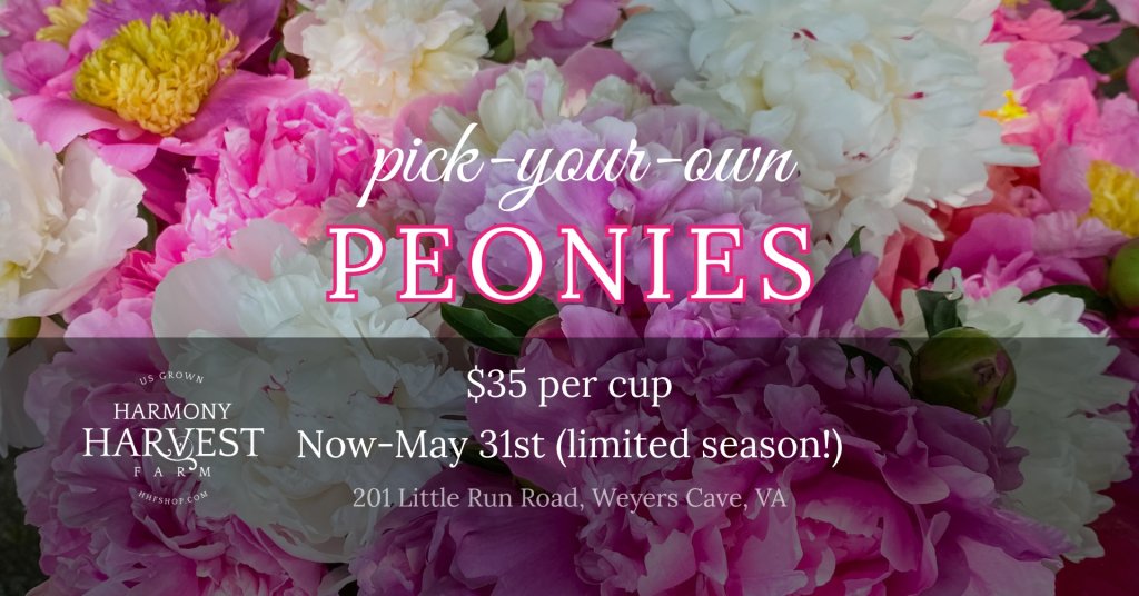 event 57561 pick your own peonies now may 31-visit-staunton-va