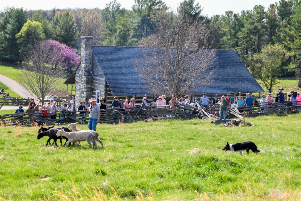 event 59646 2027 fiber festival-visit-staunton-va