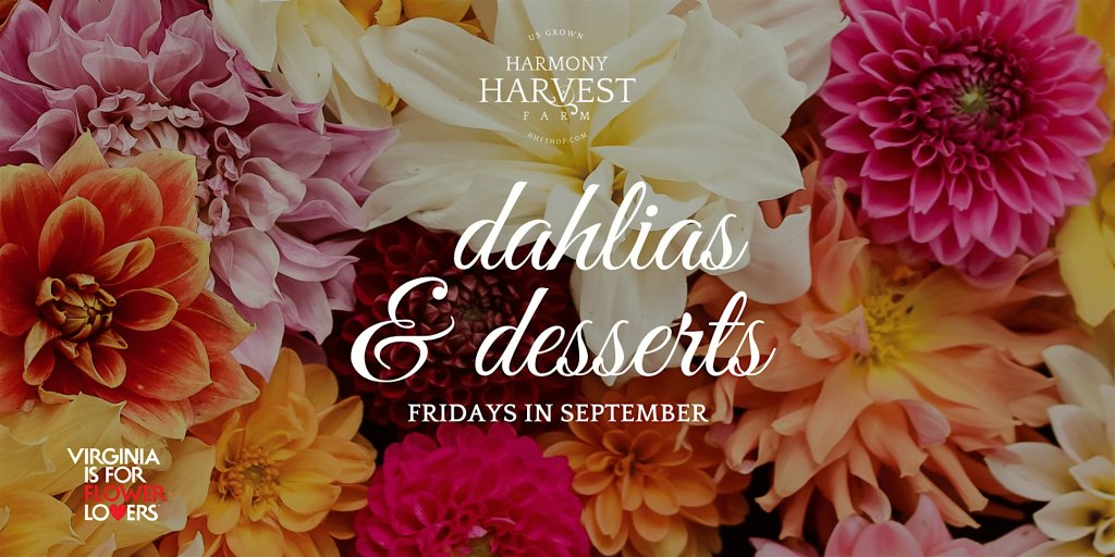 event 60151 dahlias and desserts-visit-staunton-va