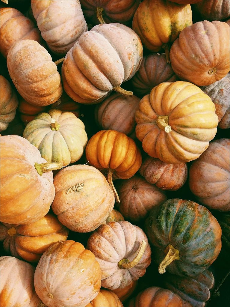 Event 62981 community connection dinner pumpkin potluck-visit-staunton-va