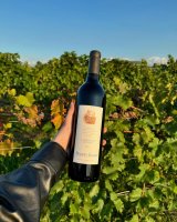 Raise a Glass: It’s Time to Celebrate Virginia Wine