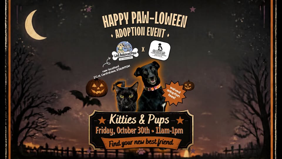 Happy Paw-loween SAWAS Adoption Event at the Well Balanced Paw